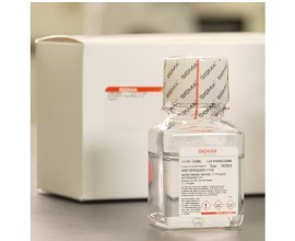 Histopaque 1119 - 6 X 100 Ml - Sigma